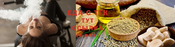 гидра Верхний Тагил