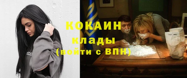 гидра Верхний Тагил