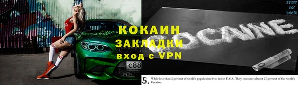 гидра Верхний Тагил