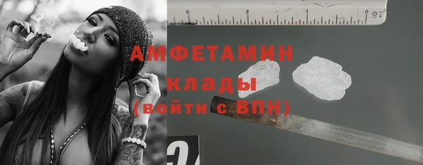 гидра Верхний Тагил