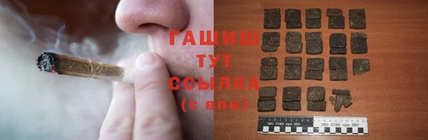 гидра Верхний Тагил