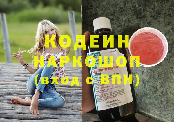 гидра Верхний Тагил