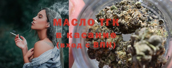гидра Верхний Тагил