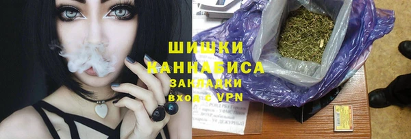 гидра Верхний Тагил